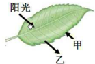 360优课网