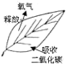 360优课网