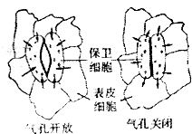 360优课网