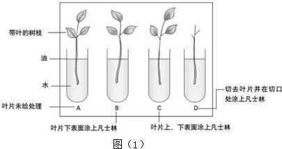 360优课网