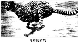 360优课网