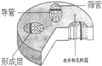 360优课网