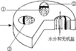 360优课网