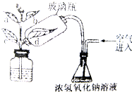 360优课网