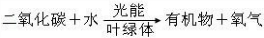 360优课网