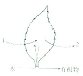 360优课网