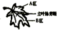 360优课网