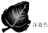 360优课网