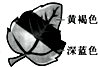 360优课网