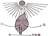 360优课网