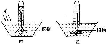360优课网