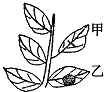 360优课网