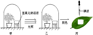 360优课网