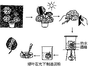 360优课网