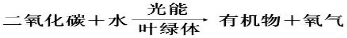 360优课网