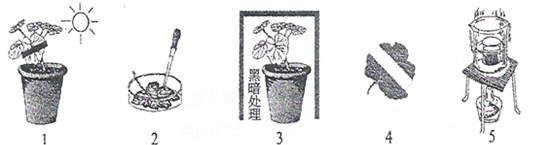 360优课网