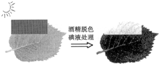 360优课网