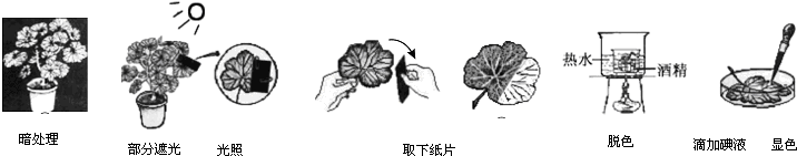 360优课网