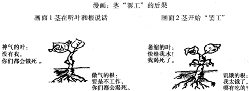 360优课网