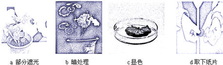 360优课网