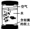 360优课网