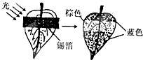 360优课网