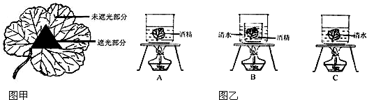 360优课网