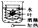 360优课网